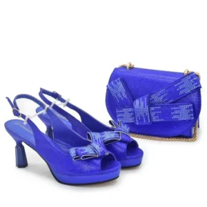 Fashion party bag with shoe Set WH1250
