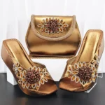 Fashion party bag with shoe Set WH1262