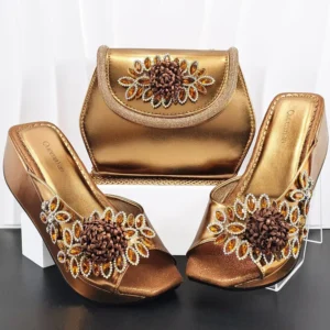 Fashion party bag with shoe Set WH1262