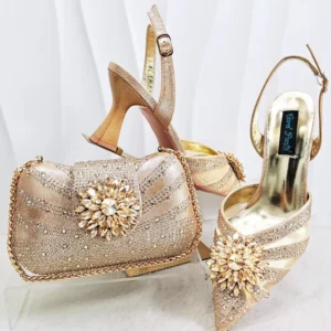 Fashion party bag with shoe Set WH1273