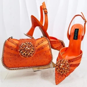 Fashion party bag with shoe Set WH1274