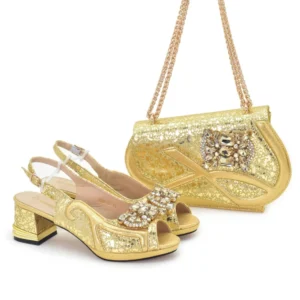Fashion party bag with shoe Set WH1277