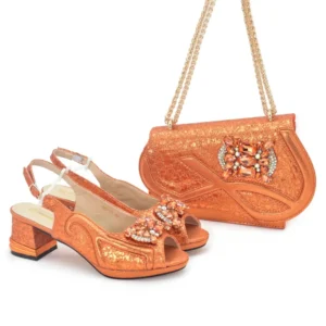 Fashion party bag with shoe Set WH1278