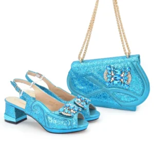 Fashion party bag with shoe Set WH1281